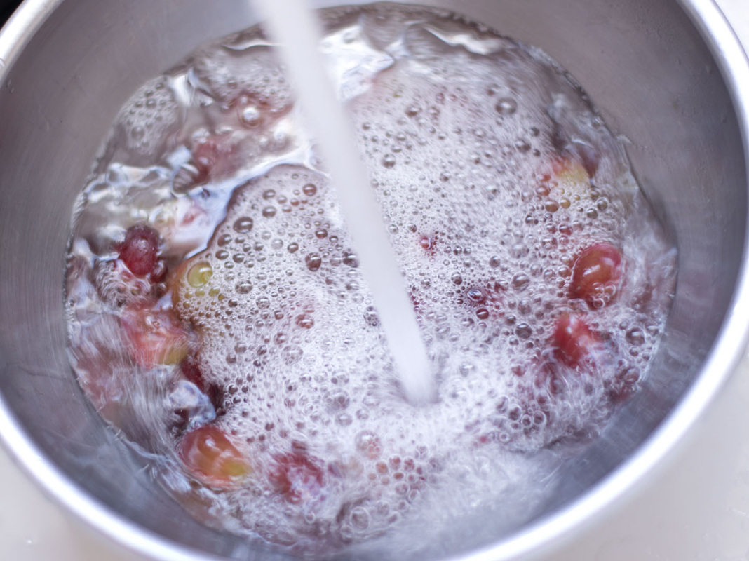 Nettoyage de raisins - Camille Brunelle